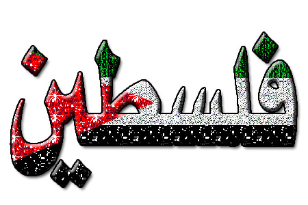 8 رقم مجموعة الصور