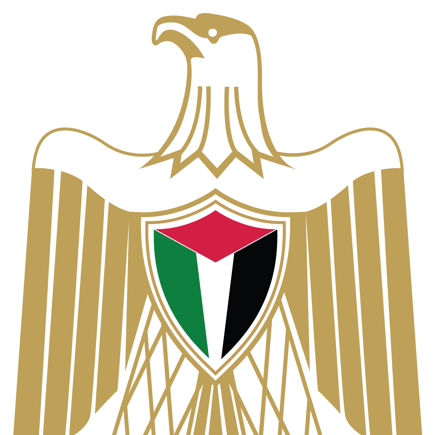 11 رقم مجموعة الصور