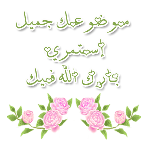 13 رقم مجموعة الصور