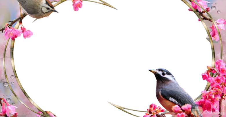 14 رقم مجموعة الصور