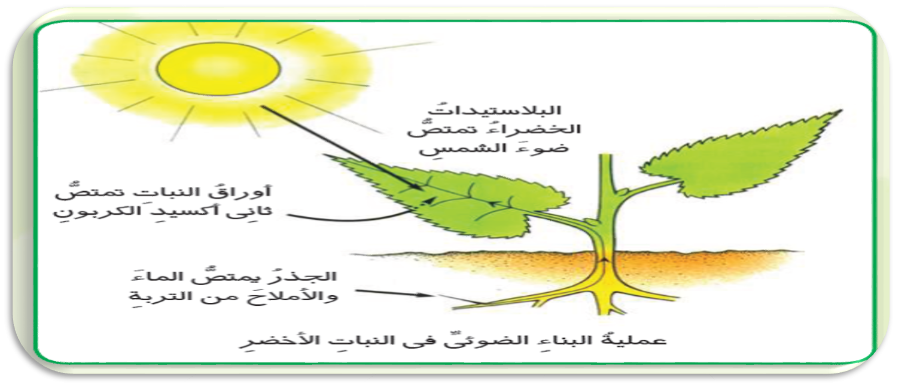 2 رقم مجموعة الصور