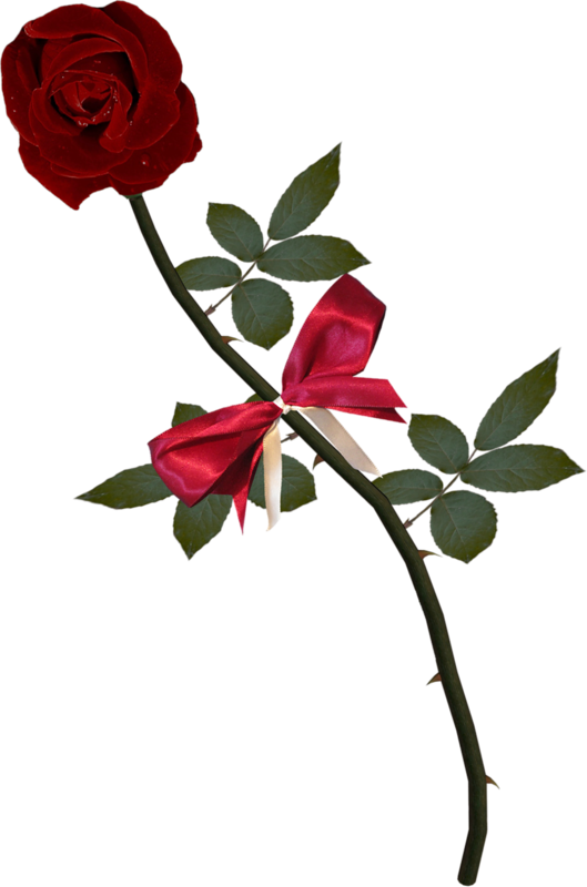 8 رقم مجموعة الصور