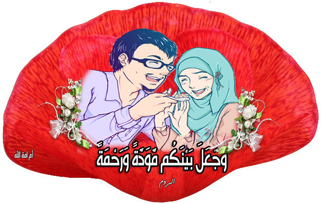 14 رقم مجموعة الصور