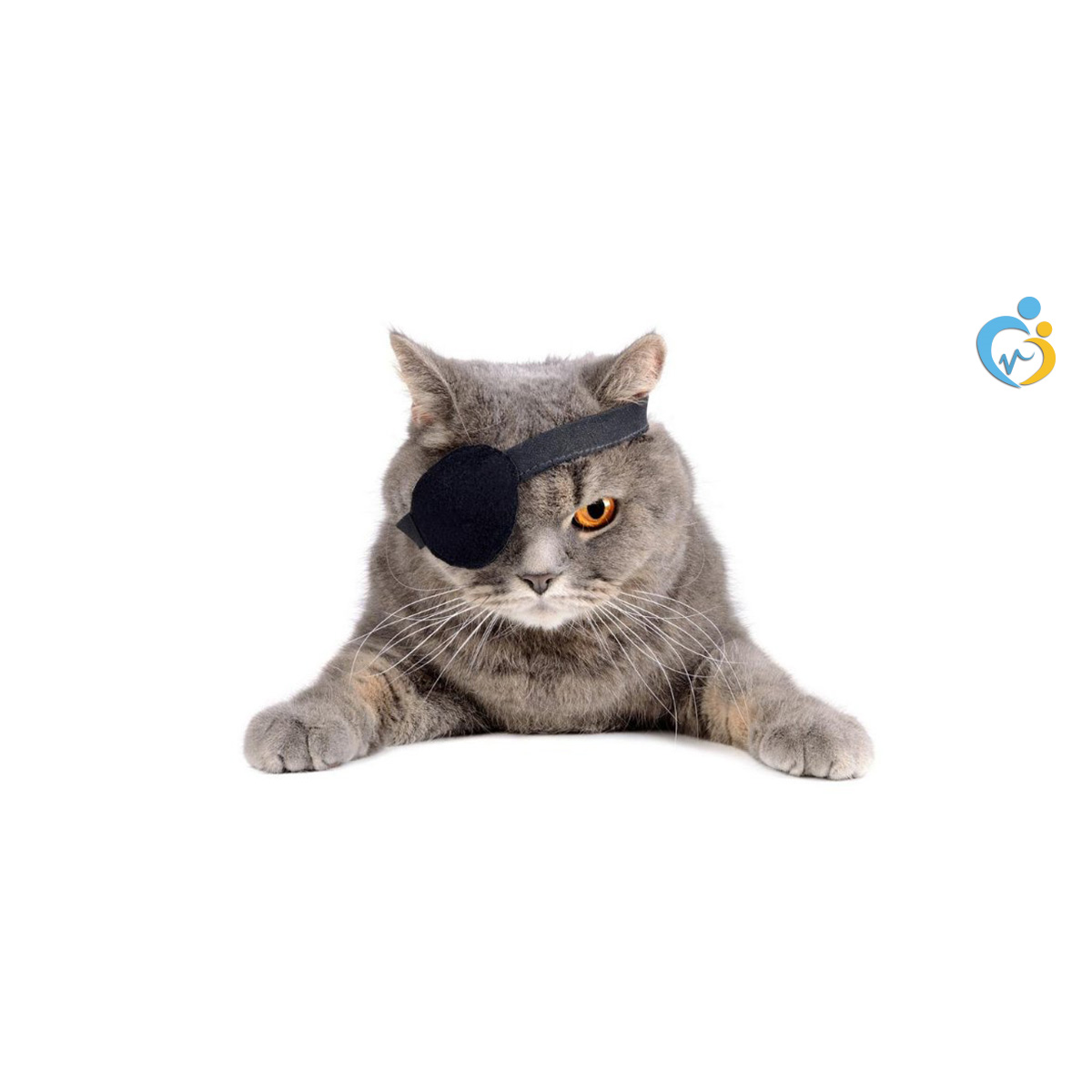 3 رقم مجموعة الصور