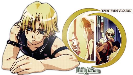 7 رقم مجموعة الصور
