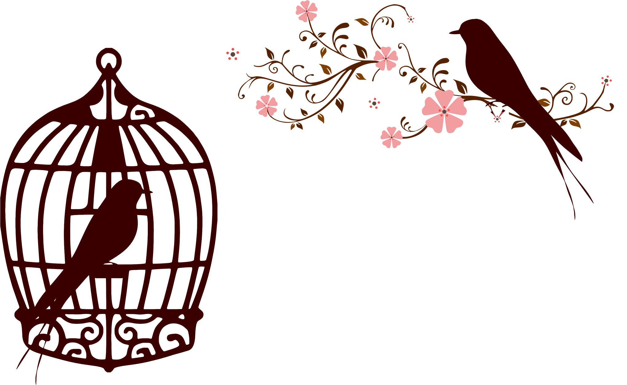 4 رقم مجموعة الصور