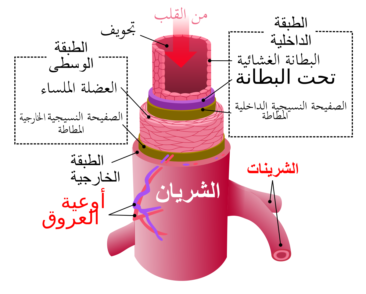 11 رقم مجموعة الصور