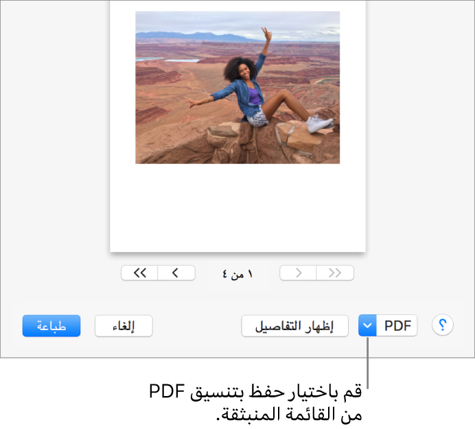 3 رقم مجموعة الصور