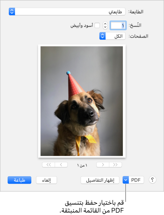 5 رقم مجموعة الصور