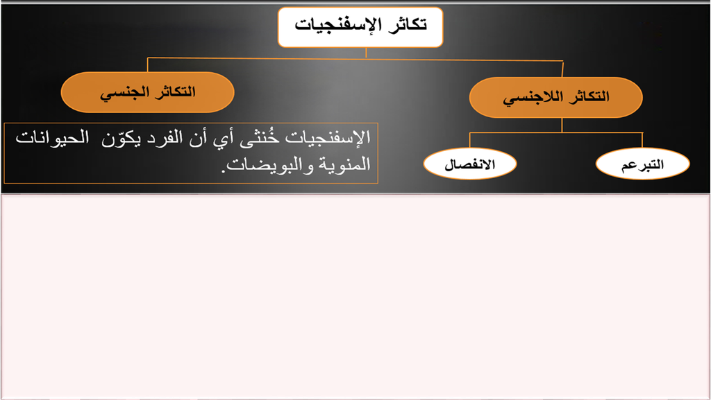 10 رقم مجموعة الصور