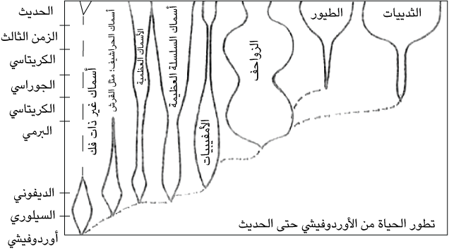 3 رقم مجموعة الصور