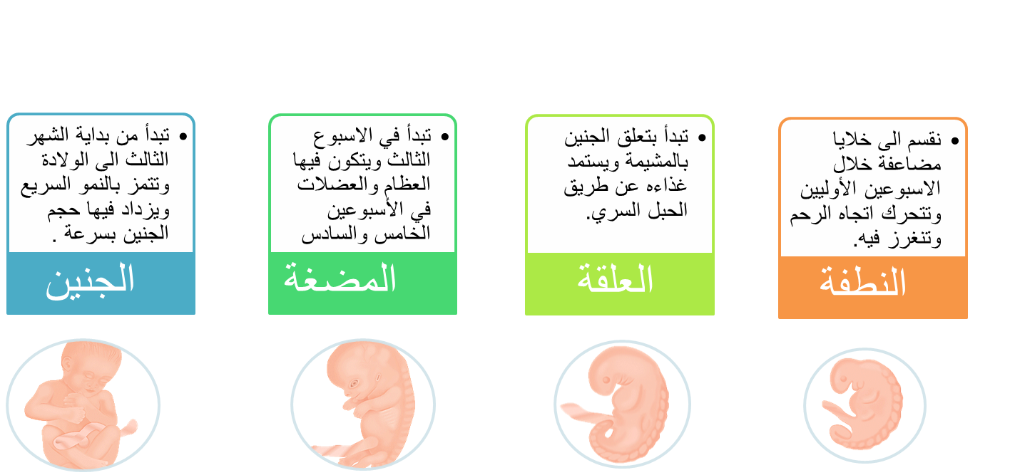 6 رقم مجموعة الصور