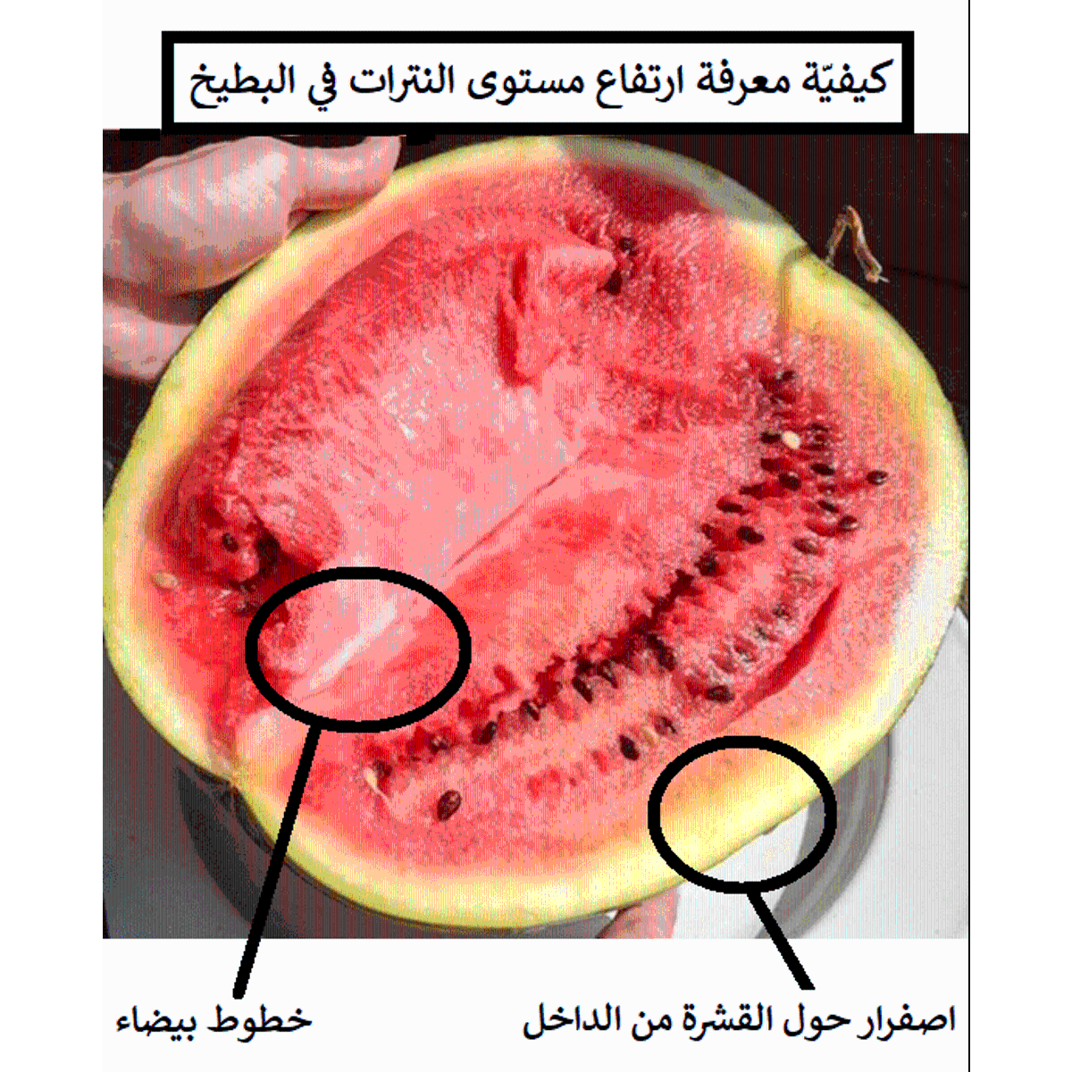 2 رقم مجموعة الصور