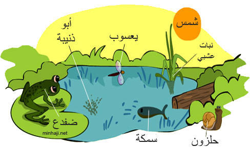 9 رقم مجموعة الصور