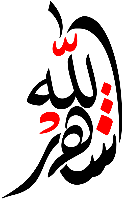 15 رقم مجموعة الصور
