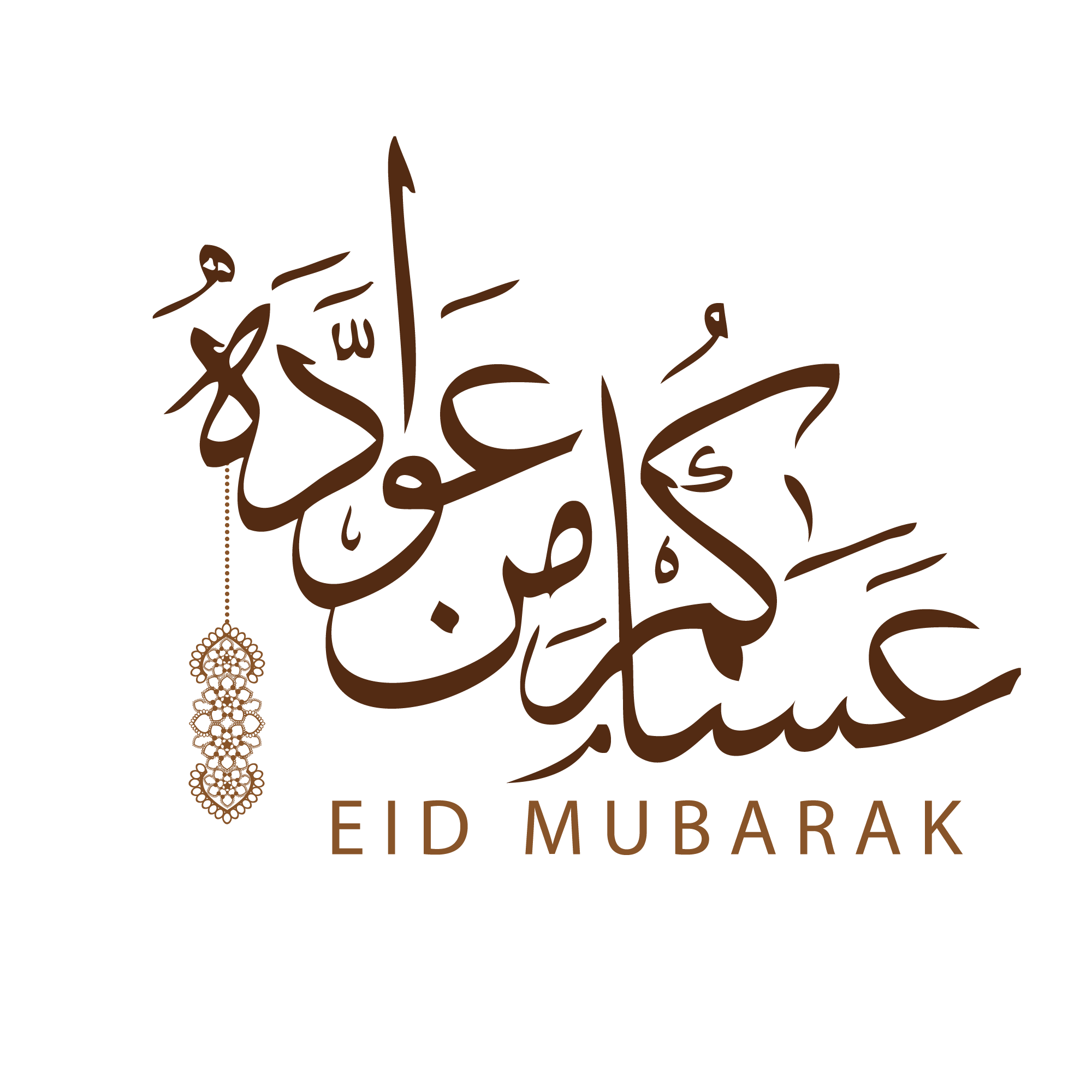 8 رقم مجموعة الصور