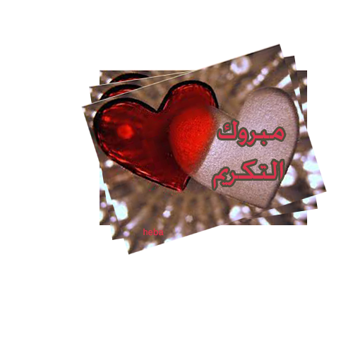 10 رقم مجموعة الصور