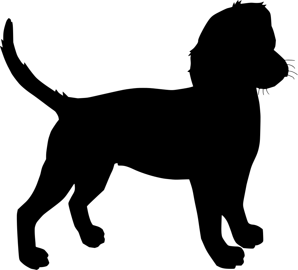 كلب اليف - KibrisPDR