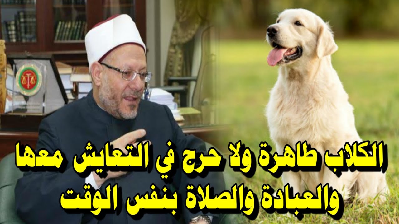 4 رقم مجموعة الصور