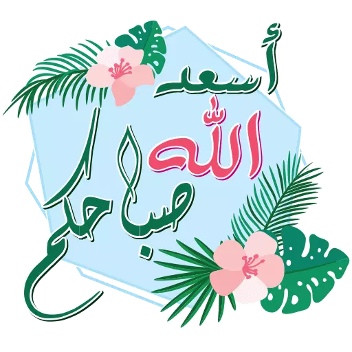 12 رقم مجموعة الصور