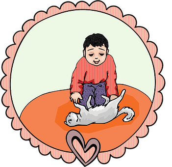 7 رقم مجموعة الصور