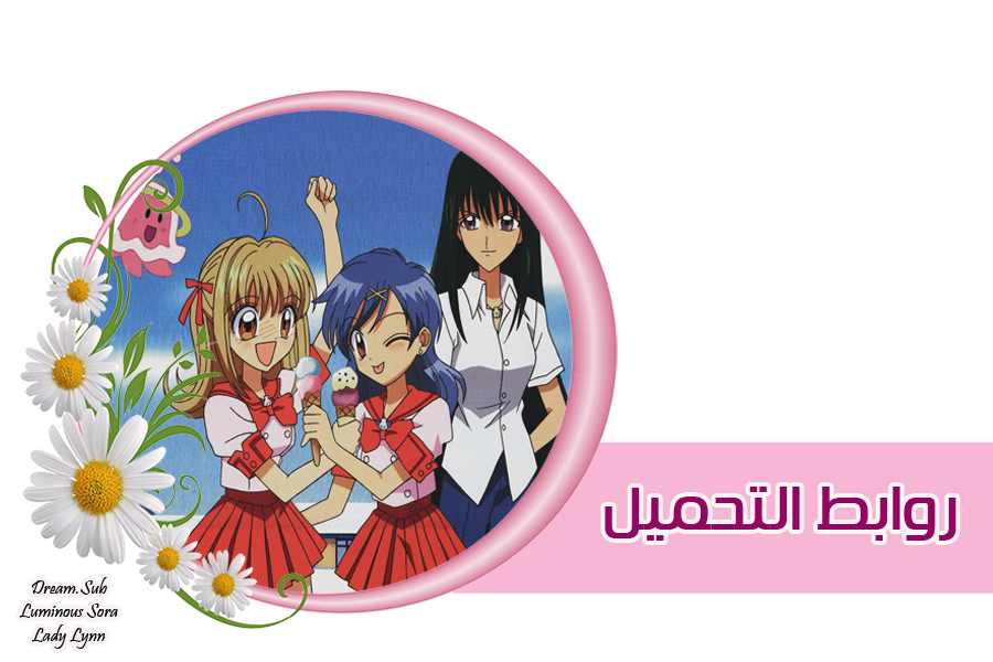 12 رقم مجموعة الصور