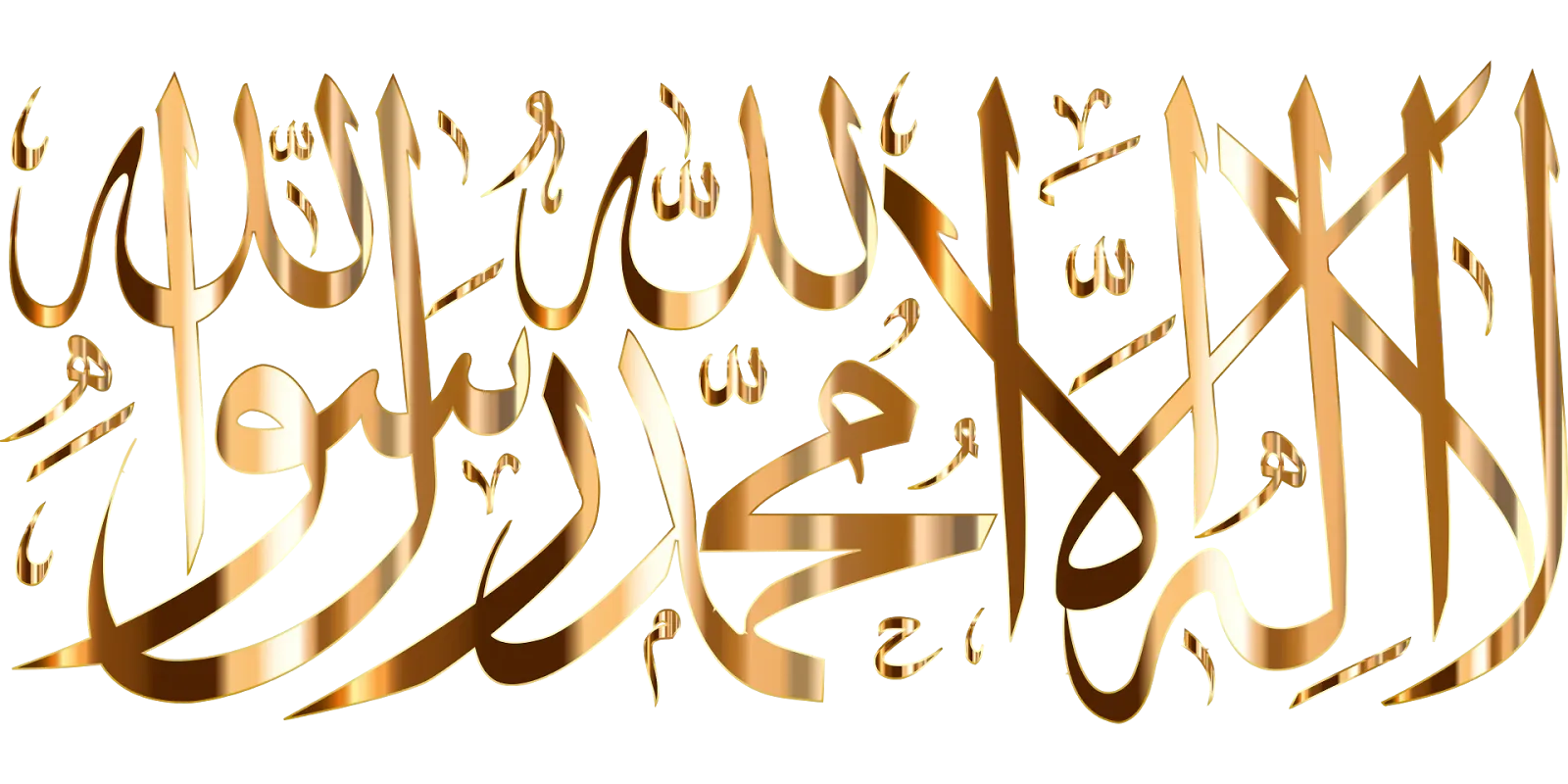 14 رقم مجموعة الصور