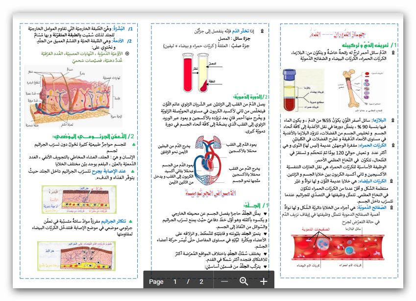 11 رقم مجموعة الصور