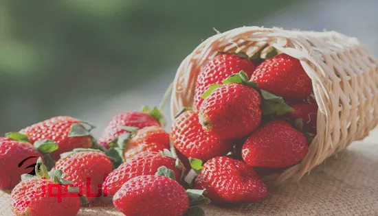 5 رقم مجموعة الصور