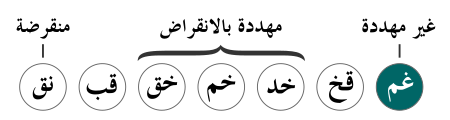5 رقم مجموعة الصور