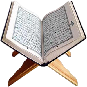 16 رقم مجموعة الصور