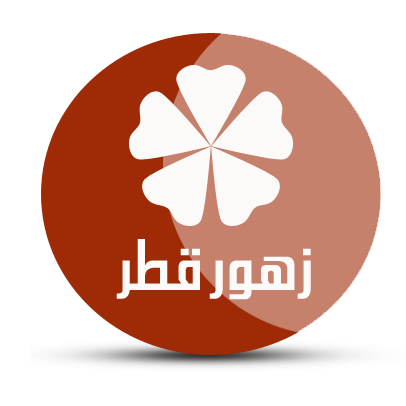 3 رقم مجموعة الصور