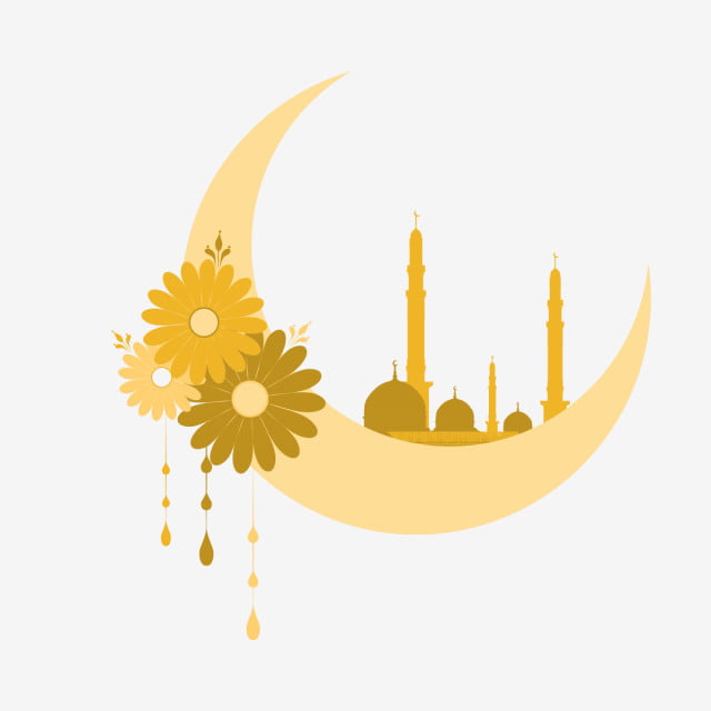 7 رقم مجموعة الصور
