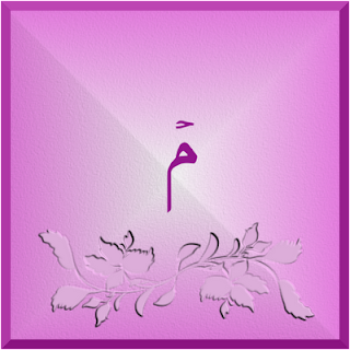 11 رقم مجموعة الصور