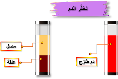17 رقم مجموعة الصور