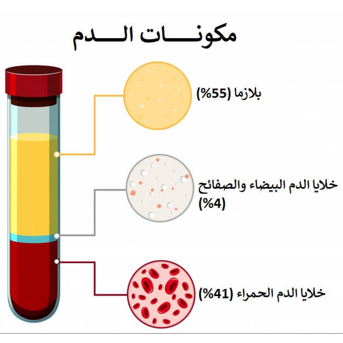 18 رقم مجموعة الصور