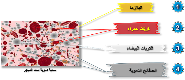 9 رقم مجموعة الصور
