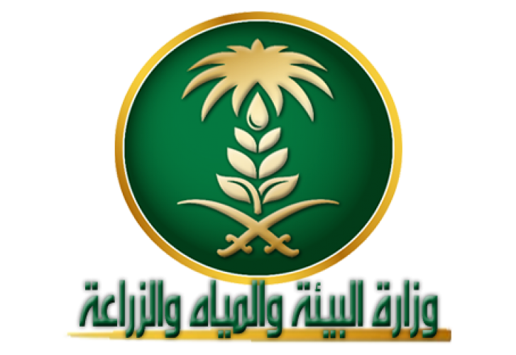 15 رقم مجموعة الصور