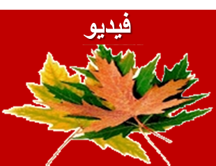 5 رقم مجموعة الصور