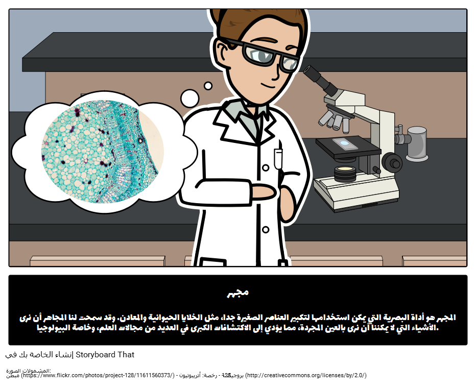 12 رقم مجموعة الصور