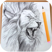 14 رقم مجموعة الصور