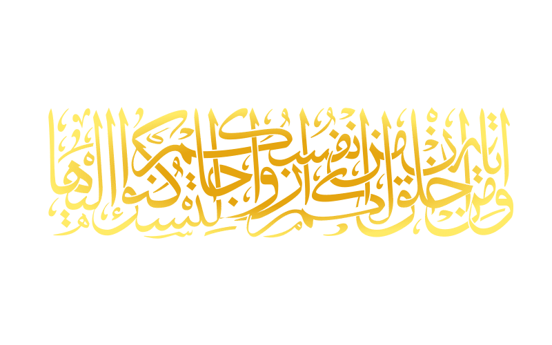 13 رقم مجموعة الصور