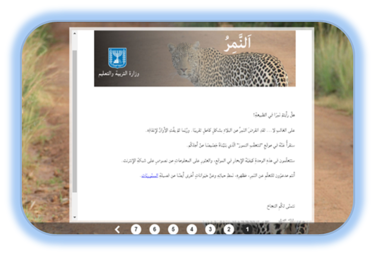 13 رقم مجموعة الصور
