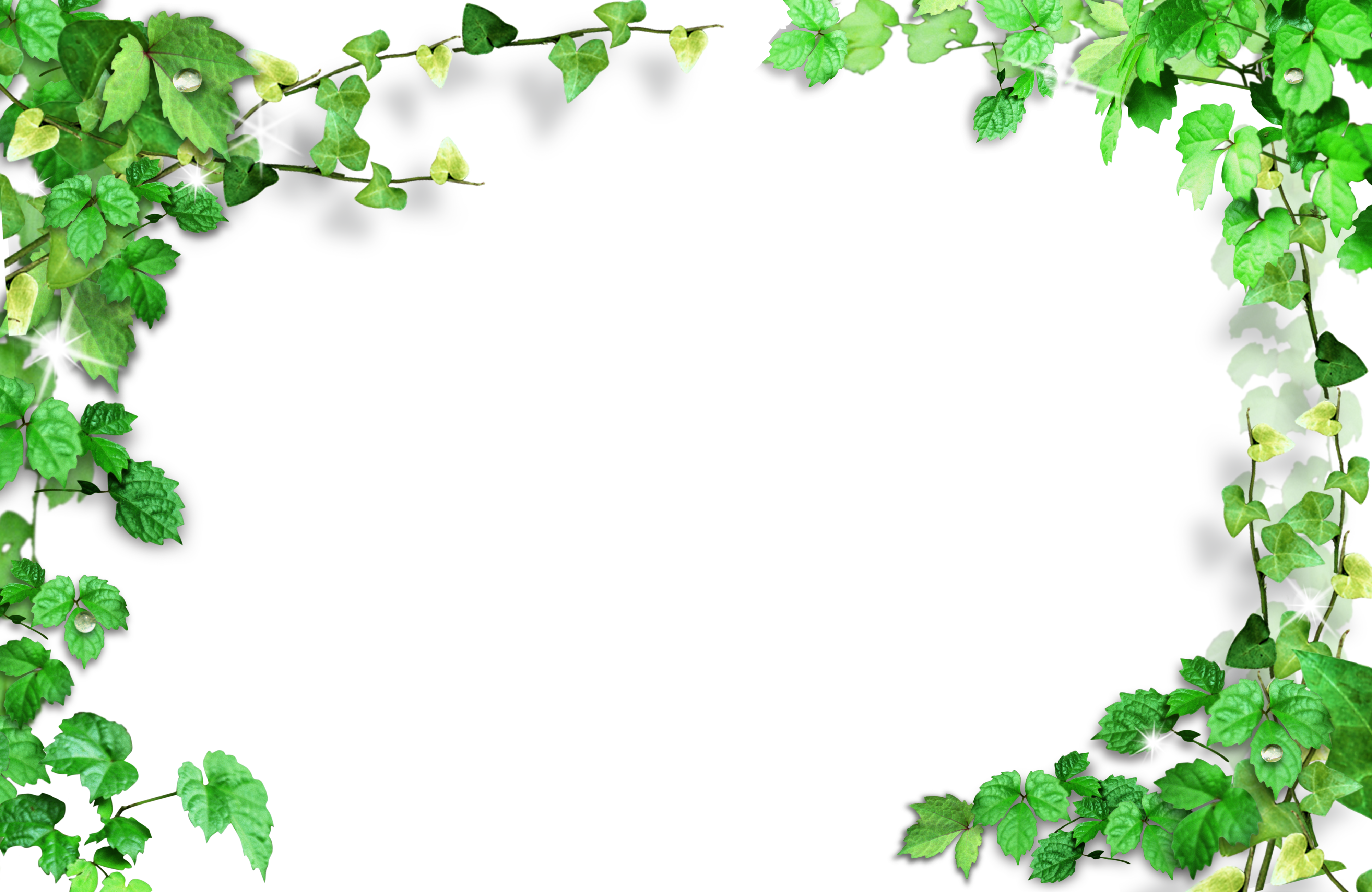 3 رقم مجموعة الصور