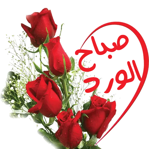 15 رقم مجموعة الصور