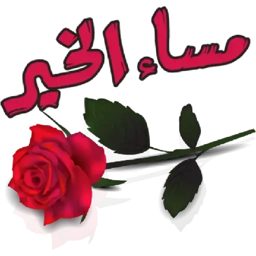 5 رقم مجموعة الصور