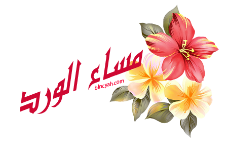 7 رقم مجموعة الصور