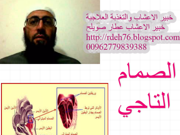 10 رقم مجموعة الصور