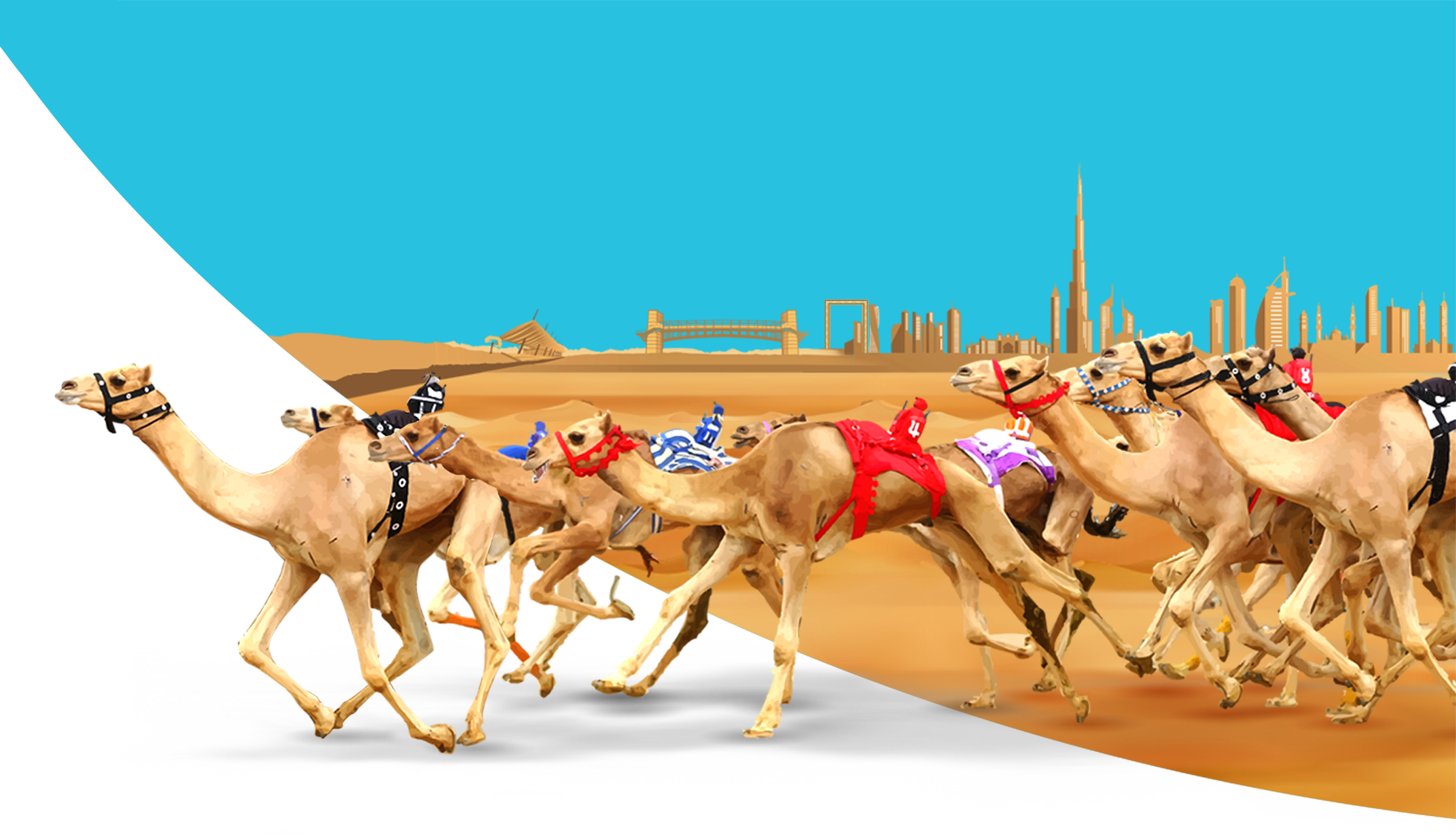 6 رقم مجموعة الصور