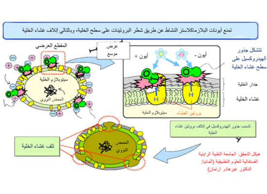 9 رقم مجموعة الصور